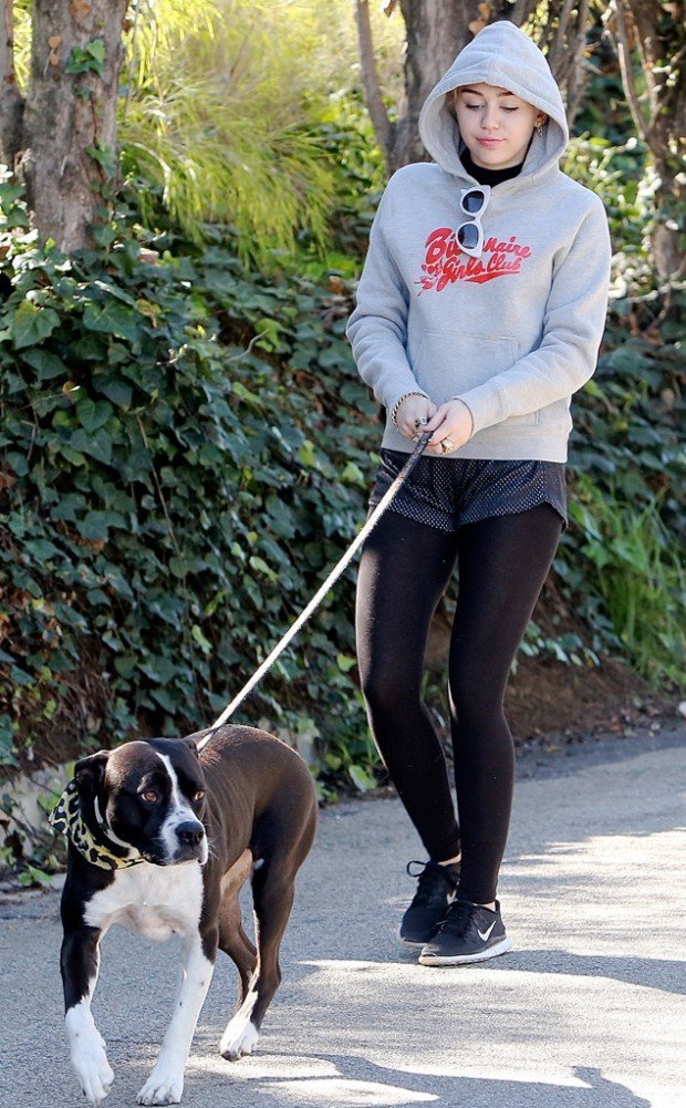 rs_634x1024-150115160417-634.Miley-Cyrus-Dog-Walk-LA.ms.011515