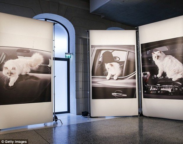 2733903A00000578-3022324-image-a-3_1427963305110