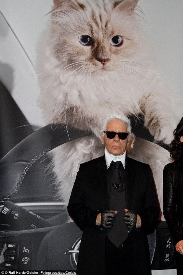 27386B9B00000578-3022324-image-a-3_1427971317481