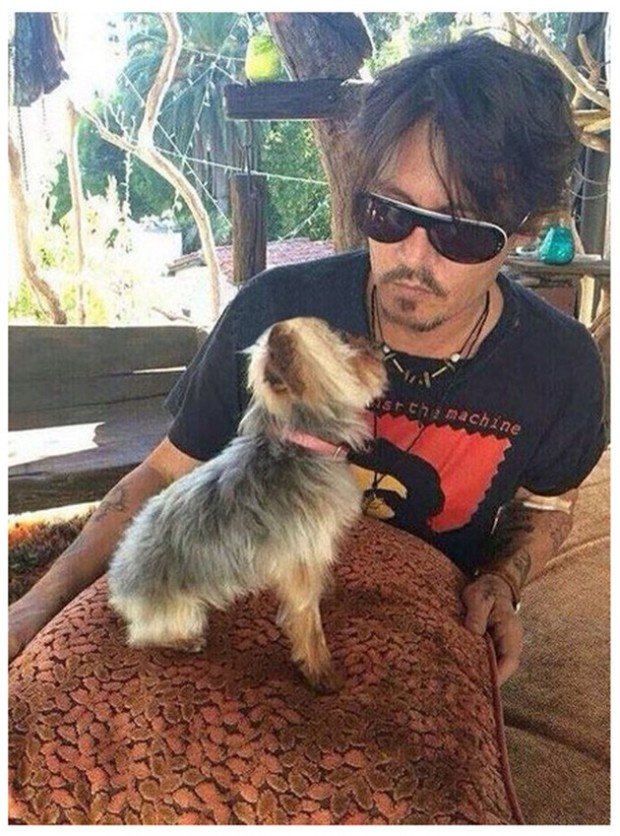 johnny_depp_dog_1al7t16-1al7t1u