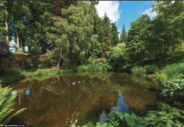 2B3DD87700000578-3192084-image-a-52_1439198861198