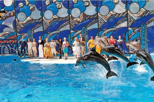 2118a1bf862478e3880d092b3062b7d2_fitted_630x5000