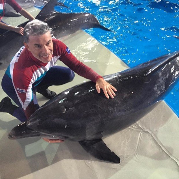 bbb59b736d7076955532cff6ebbb7171_fitted_630x5000