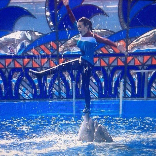 d1428d43a1cb3768c1b97be7eb34814f_fitted_630x5000