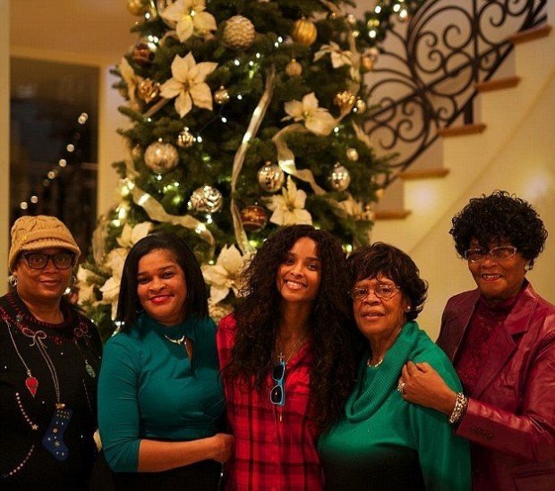 2FA0BABC00000578-3375158-image-a-15_1451195462520