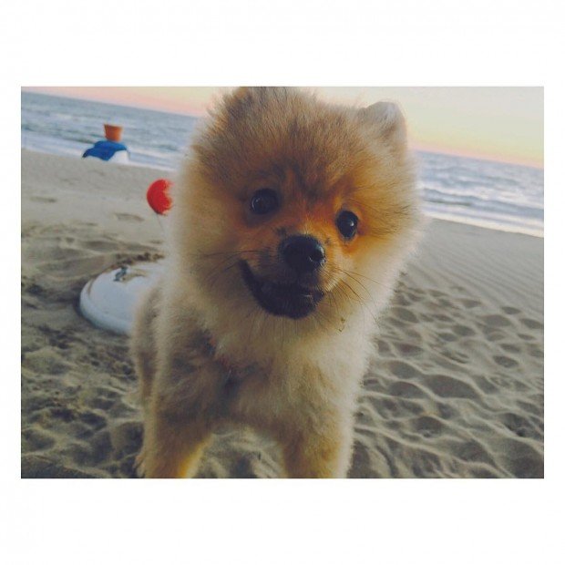 В семье Павла Воли и Ляйсан Утяшевой прибавление