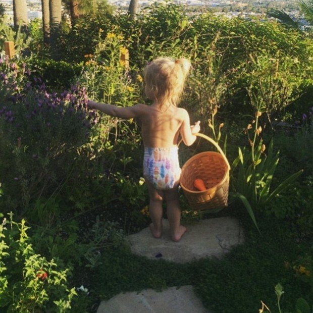 3382BB1600000578-0-image-a-83_1461546842383