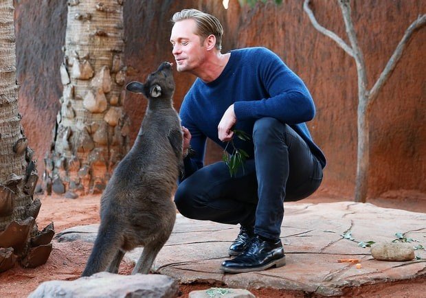 alexander-skarsgard-kangaroo-02-64cb2577-ef0c-4534-ad4a-4744ca785dab
