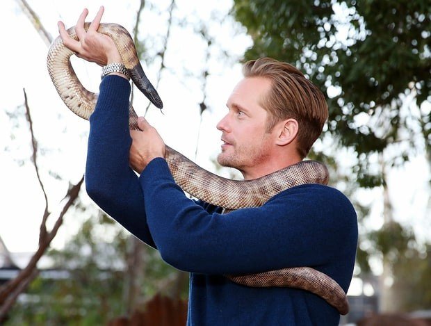 alexander-skarsgard-snake-3bca3303-2efb-4f0c-b87c-211a603b8d72
