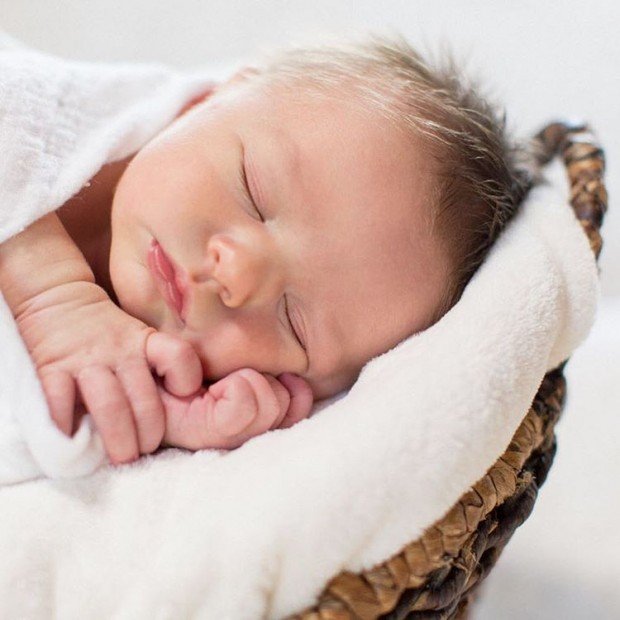 13561562_1772070876360146_393233984_n