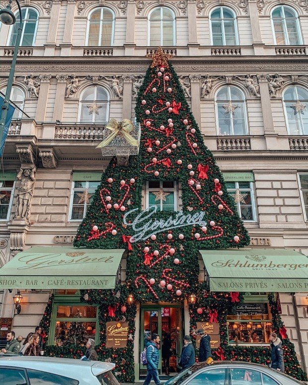 австрия-вена-рождество-1