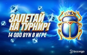 Причины делать ставки на бои UFC