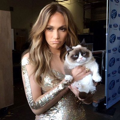 http://www.starslife.ru/wp-content/uploads/2015/08/20150827_cat_5.jpg