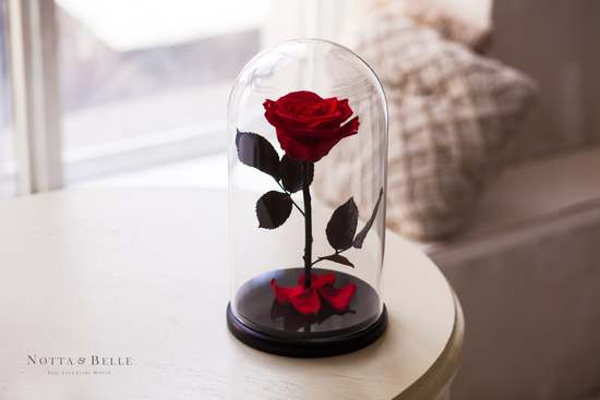 Роза в колбе