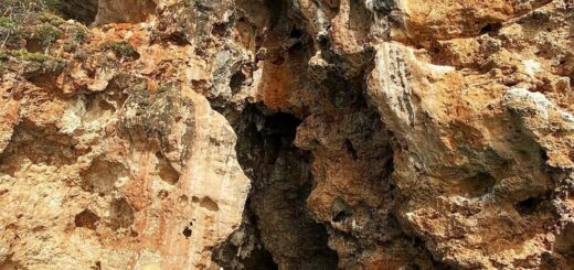 Сальма Хайек