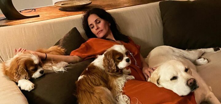 Кортни Кокс