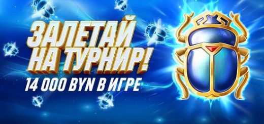 Причины делать ставки на бои UFC