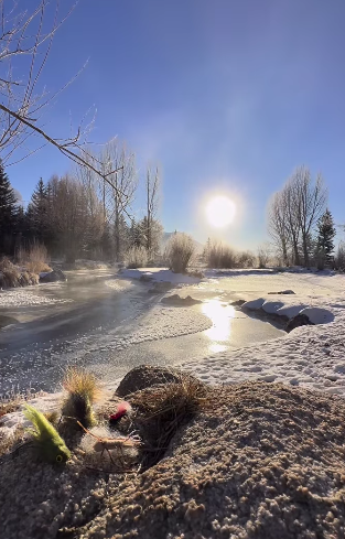 Жезин Буллок-Прадо, Сандра Буллок