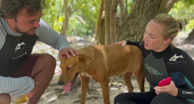 Хайден Панеттьери 