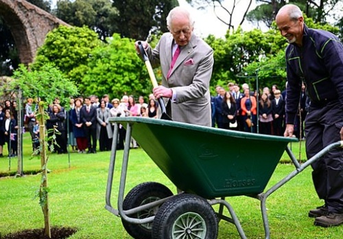 Король Карл, король Чарльз