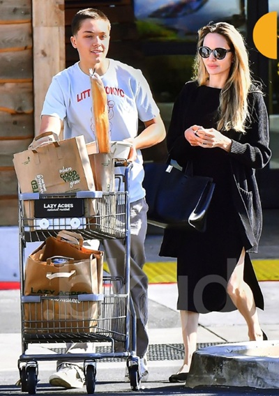 Анджелина Джоли, Нокс Питт