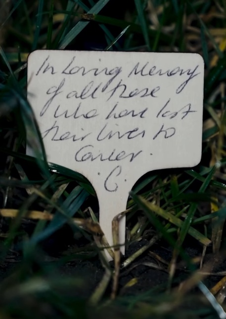 Кейт Миддлтон, принцесса Уэльская