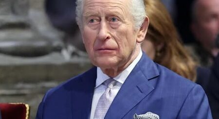 король Карл, Великобритания, монарх