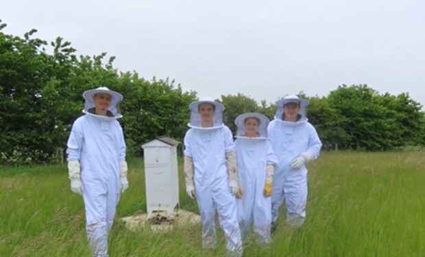 Круз Дэвид Бекхэм, Бруклин Джозеф Бекхэм, Ромео Джеймс Бекхэм, Харпер Бекхэм