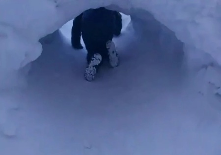 Снег, тоннель