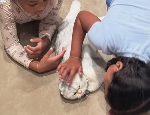 Кайли Дженнер